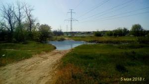 image (1).jpg