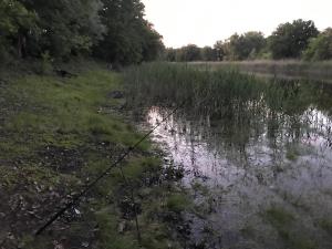 IMG_3615.jpg