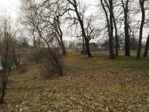 IMG_20190414_122845.jpg