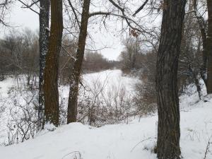 IMG_20190101_135304.jpg