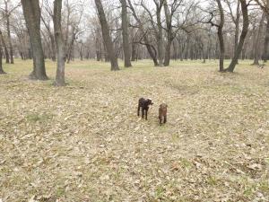 IMG_20190414_131454.jpg