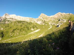 image80.jpeg