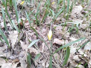 IMG_20190414_113056.jpg