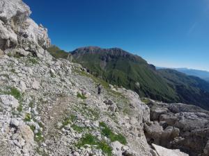 image89.jpeg