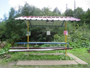 image65.jpeg