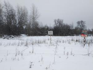 IMG_20190101_135829.jpg