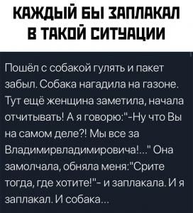 Собака заплакала.jpeg