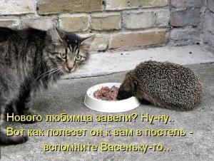 Васенька.jpg