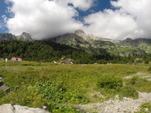 image56.jpeg