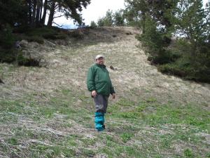 image21.jpeg