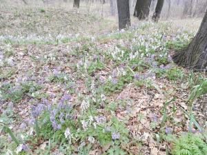IMG_20190414_115139.jpg