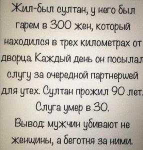 Султан.jpg
