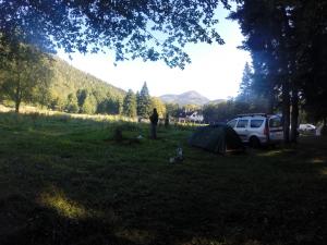 image31.jpeg
