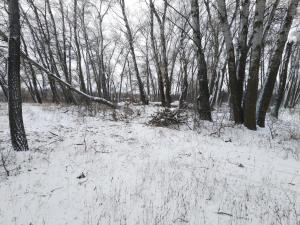 IMG_20190101_140831.jpg