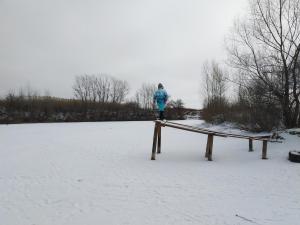IMG_20190203_122608.jpg
