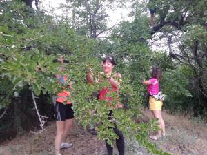 IMG_20190625_194527.jpg