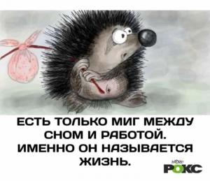 Миг.jpg