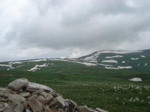 image6.jpeg