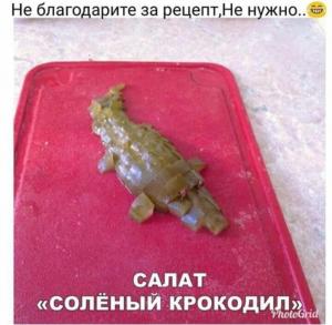 Крокодил.jpg