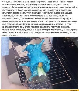 Утка.jpeg