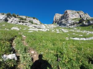 image81.jpeg