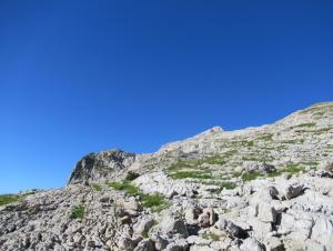 image92.jpeg