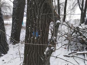 IMG_20190101_141158.jpg