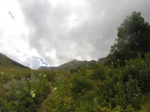 image49.jpeg