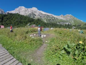 image125.jpeg