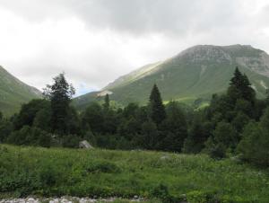 image70.jpeg