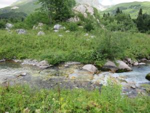 image68.jpeg