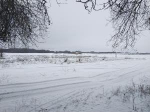 IMG_20190101_140859.jpg