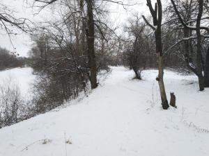 IMG_20190101_135333_9.jpg