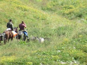 image76.jpeg