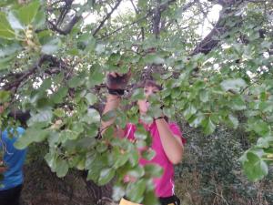 IMG_20190625_194549.jpg