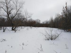 IMG_20190203_124737.jpg