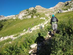 image82.jpeg
