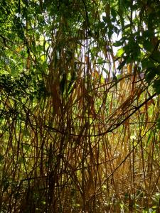 IMG_20180909_130243_HDR.jpg