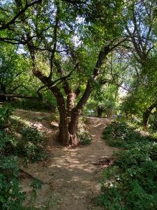IMG_20180909_125739_HDR.jpg