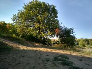 IMG_20180909_163225_HDR.jpg