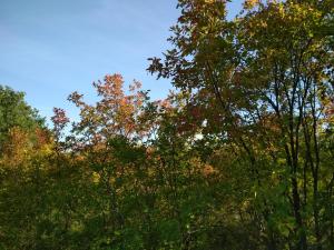 IMG_20180909_145845.jpg