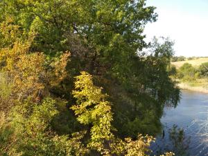 IMG_20180909_145831.jpg