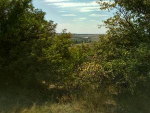 IMG_20180909_144336_HDR.jpg