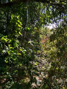 IMG_20180909_125725_HDR.jpg