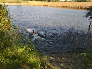 IMG_20180909_151510.jpg
