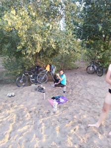 IMG_20190710_094945.jpg