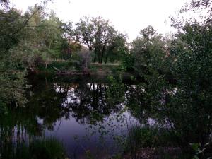 IMG_20180621_195239.jpg