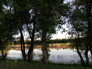 IMG_20180621_192202.jpg