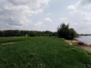 IMG_20180722_105713.jpg