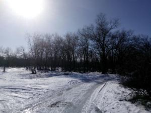 IMG_20180211_124400.jpg
